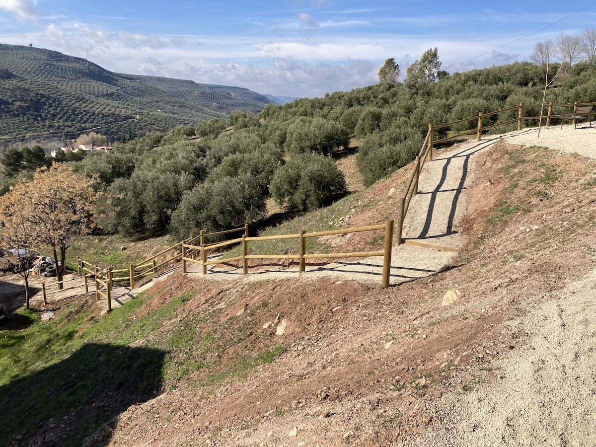 olivar ecológico en la Sierra de Segura