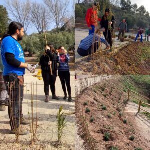 Servicios Formacion Jardineria Jaén